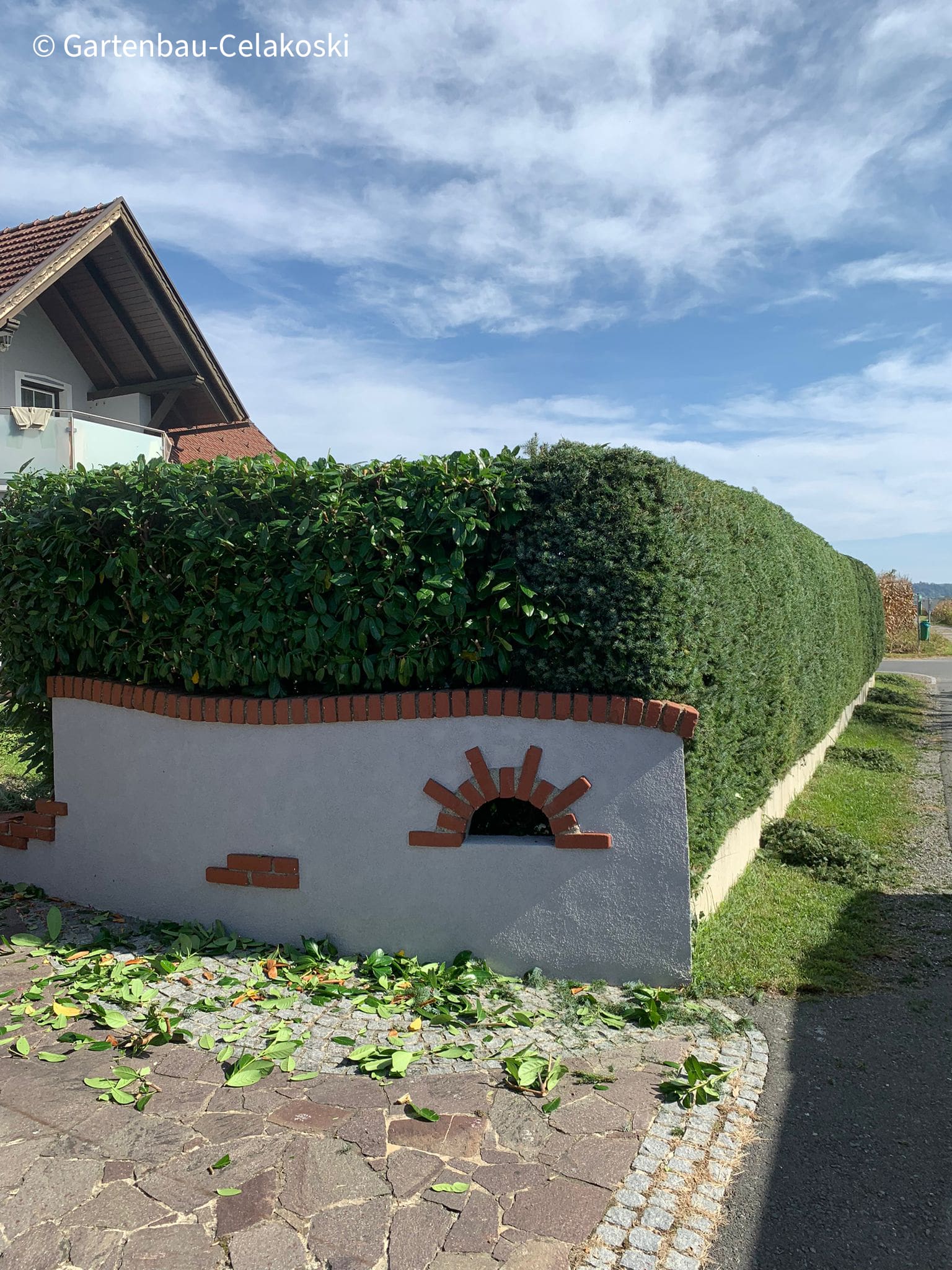 Heckenschnitt, Allesgrün, Gartenpflege, Gärtnerarbeit