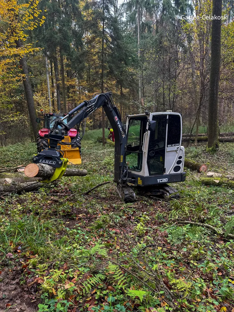 Bei diesen Bild sehen sie unseren 2 Tonnen Terex Bagger mit einer Forstzange zu Waldarbeiten, Walddurchfrostung